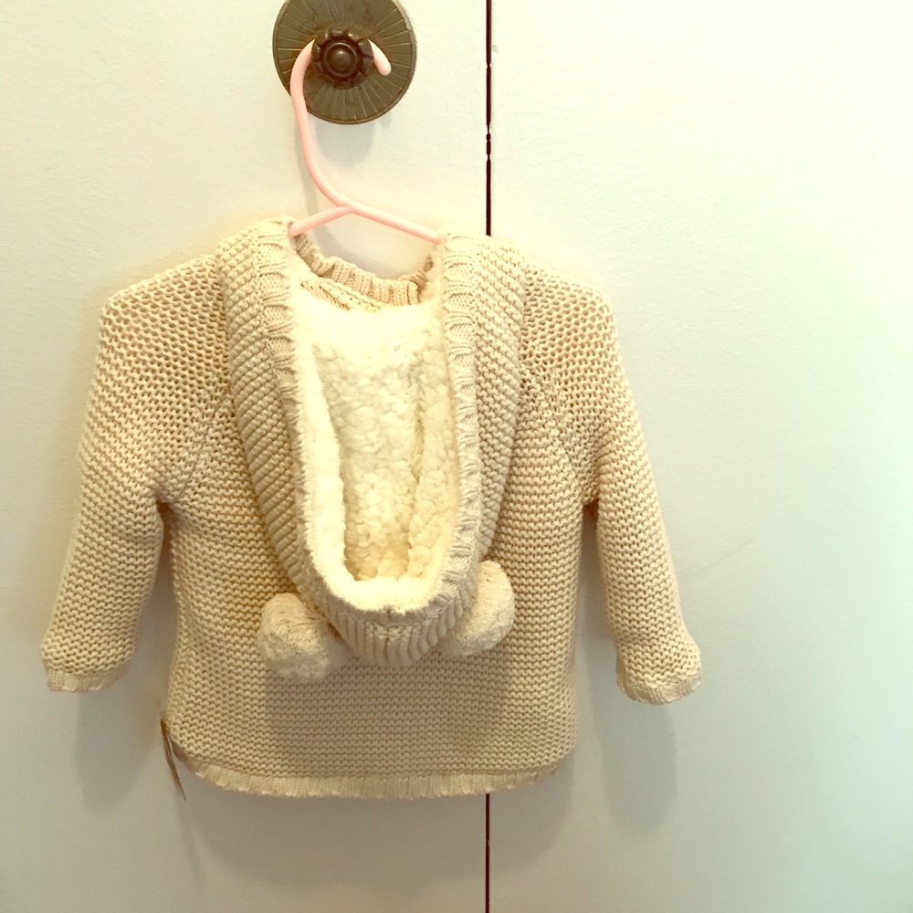 Fleece lined hooded sweater